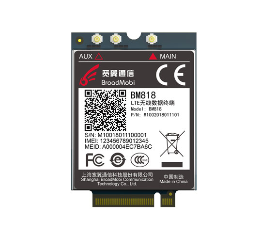 BM818